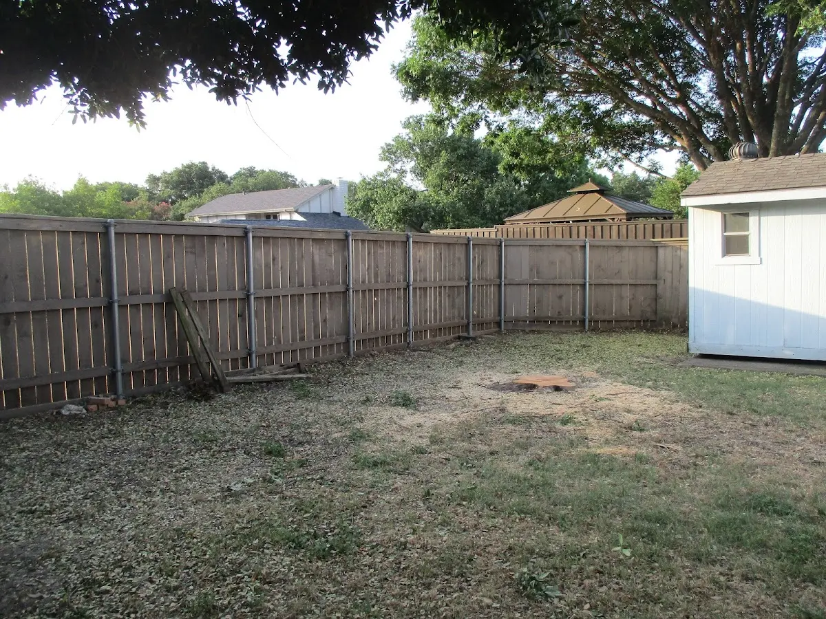 Cleared yard after professional tree removal in Pointe A La Hache